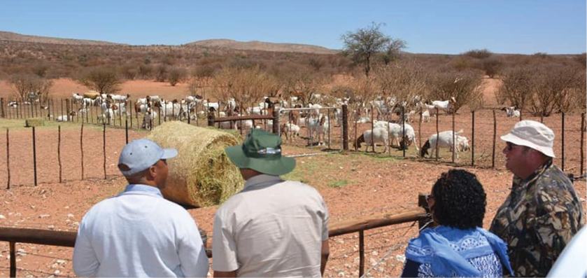 Northern Cape farmers are being assisted to establish cooperatives and commercialise their operations.