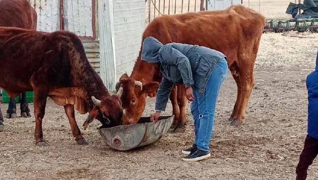 Lerato Tshabalala decided to focus on the business of farming after struggling to find a job.