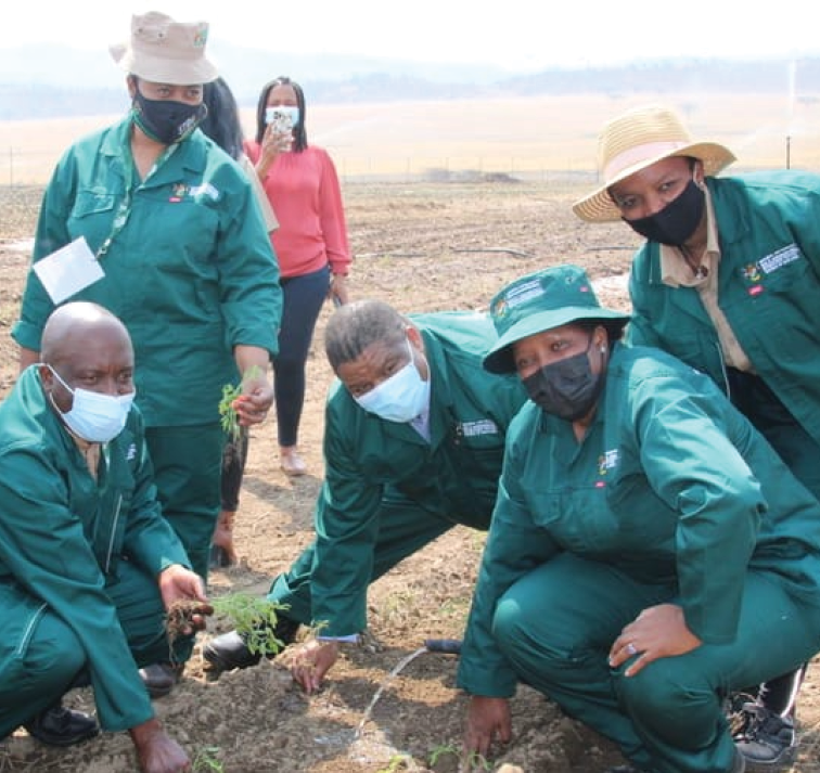 The Mpumalanga Provincial Government is rolling out the Agricultural Food Basket Initiative across its districts to promote food security and job creation.