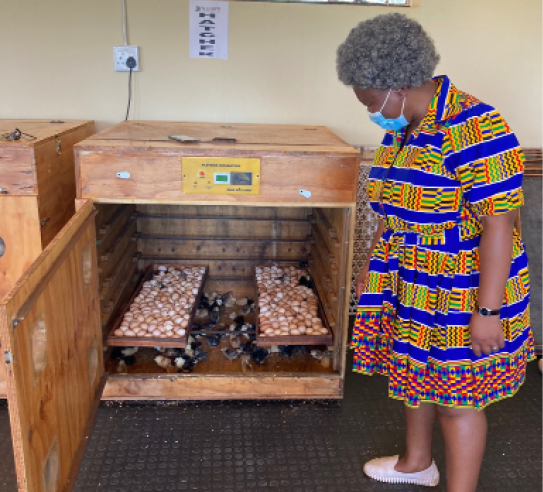 MEC Desbo Mohono inspecting the hatchery at the Kgora Farmer Training Centre.