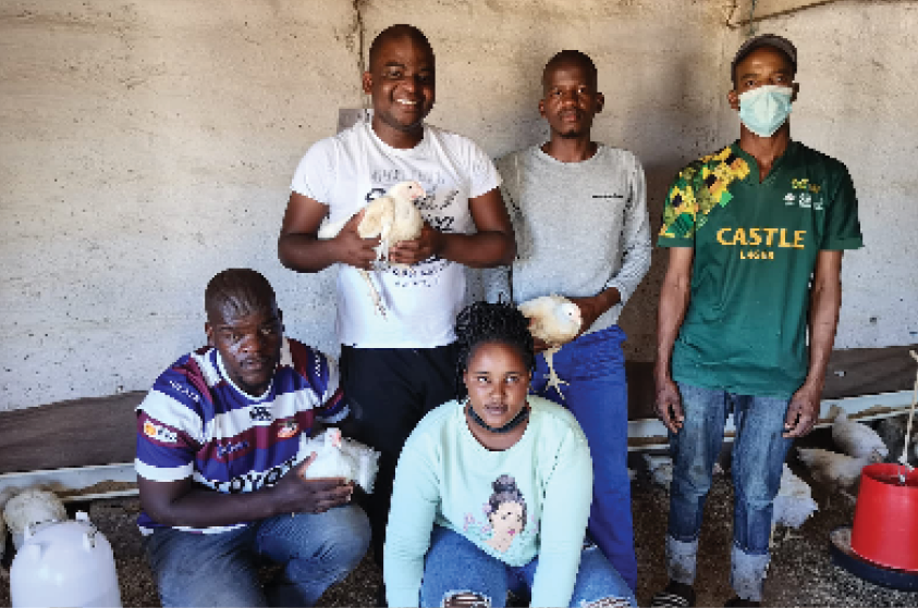 Phumlisa, Lukhanyo, Zukile, Asiphe and Sesona used their grants to start a poultry business. The Ngabase cousins Phumlisa, Lukhanyo, Zukile, Asiphe and Sesona used their grants to start a poultry business