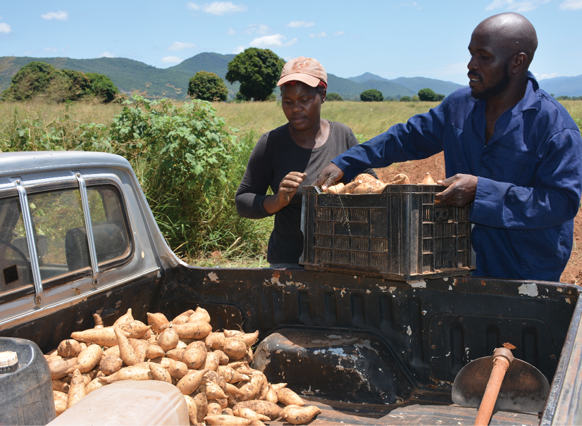 Dakalo Ramalivhana and his wife Ndivhuwo used his UIF pay-out to start a farming business.