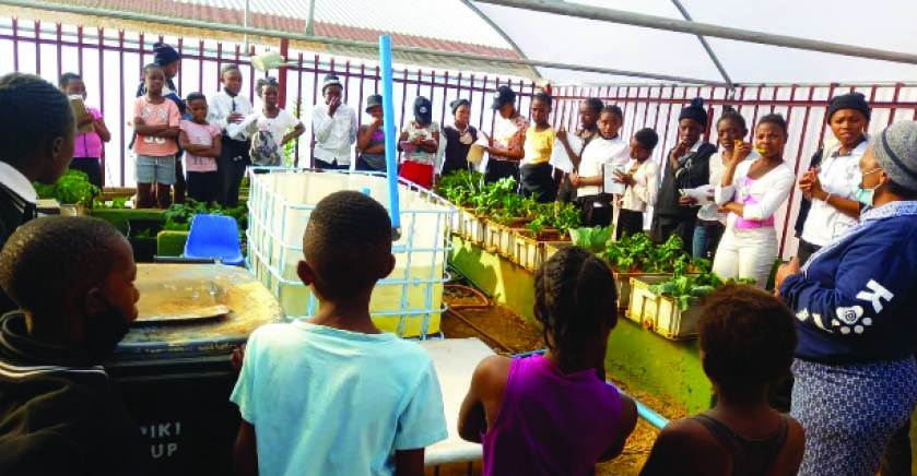 Teachers, learners and parents at Lesedi La Kreste Anglican Primary School in Orange Farm busy in their greenhouse.
