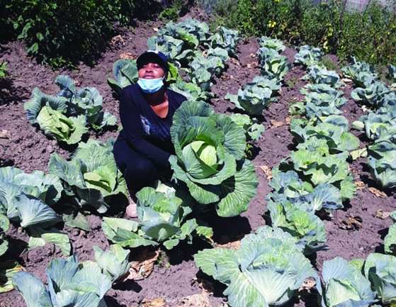 Tebello Yvonne Mokoena of Masela Lefika Farming in the Free State