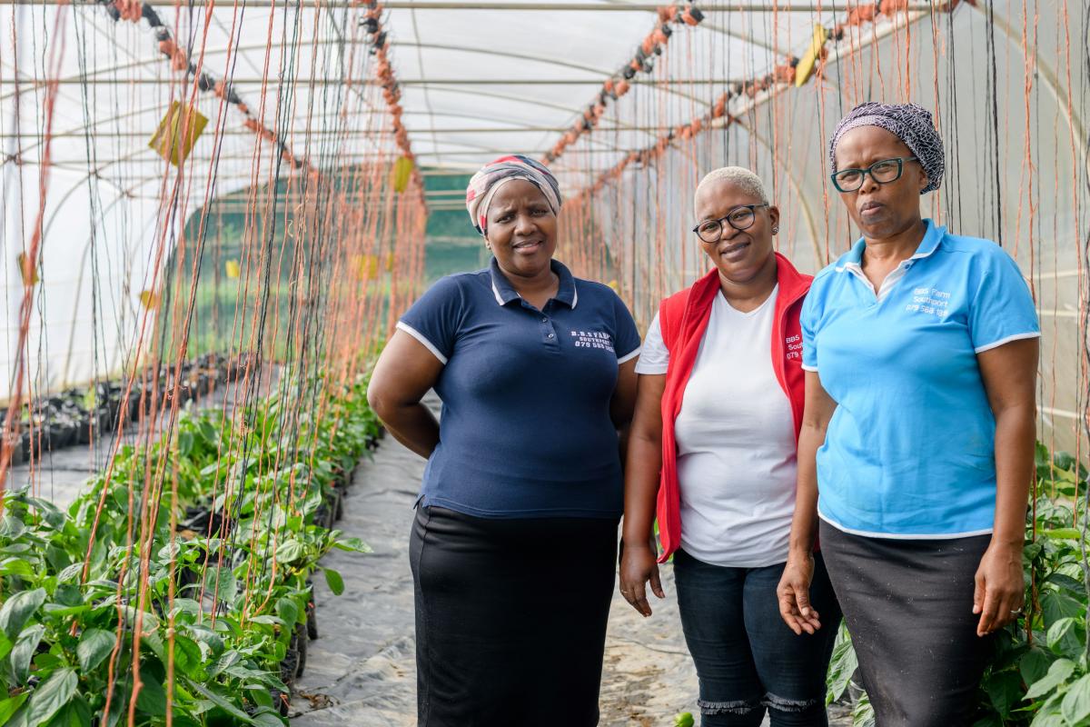 Bongi Lushaba, Slindile Zondi and Busisiwe Lubanya from BBS Farm.