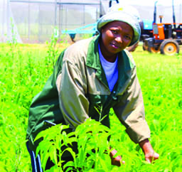 Frustrated by a lack in job opportunities, a young North West woman has turned her attention to farming.