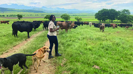 Nonopa Tenza passionate about farming and entrepreneurship.