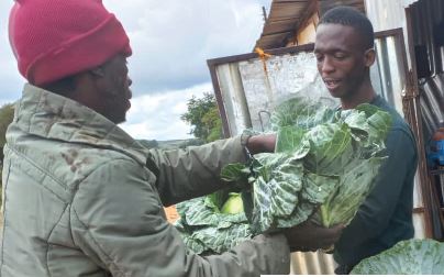 Kwenzakwenkosi Khumalo selling cabbages produced by Intandekho Agricultural Primary Cooperative to locals.