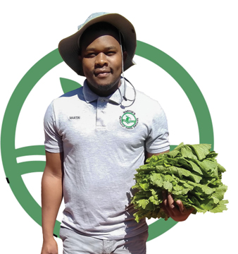 Martin Boima is the owner of a nature-care company specialising in Agro-processing, crop farming and poultry.