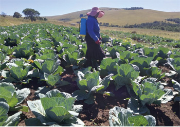 Babalwa Koni decided to take her future into her own hands by creating jobs in her village.