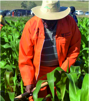 Minister of Rural Development and Land Reform Gugile Nkwinti says development and food security, not numbers, should be the focus of land redistribution. Photographer: Humbulani Nenzhelele