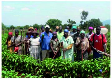 Members of the Phangweni Eden Farm Cooperative in Ezekhaya village, outside Tzaneen are gaining skills and earning an income thanks to the agricultural project.