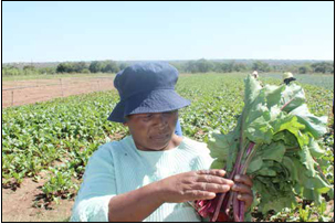 Nomsa Leshalabe, a farmer with a social conscience. (Picture: Mduduzi Tshabangu.)