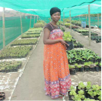 Nomzamo Mthethwa-Khoza, 26 has turned her love for trees into a viable business.