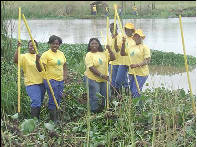 Working for Water, an Expanded Public Works Programme, provides training and jobs for youth in the environmental sector.